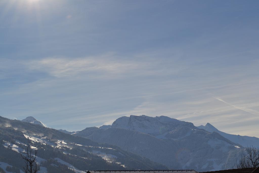 Bohrerhof Apartment Ahrnbach Bagian luar foto