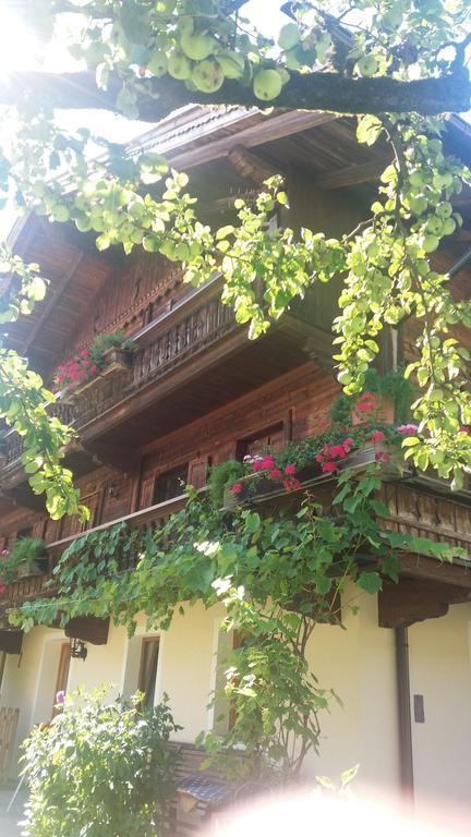 Bohrerhof Apartment Ahrnbach Bagian luar foto